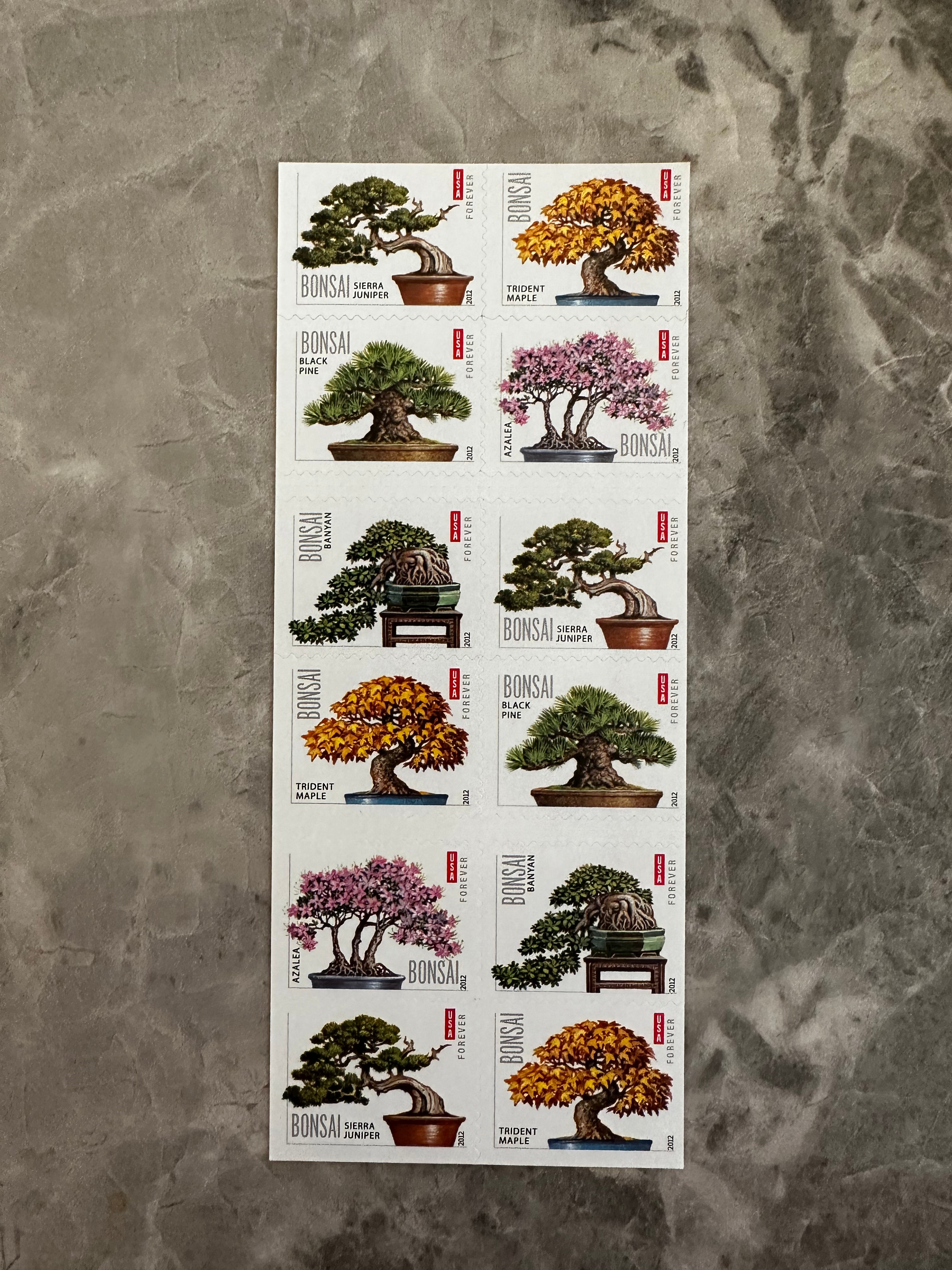 USPS Bonsai Tree Forever First Class Postage Stamps